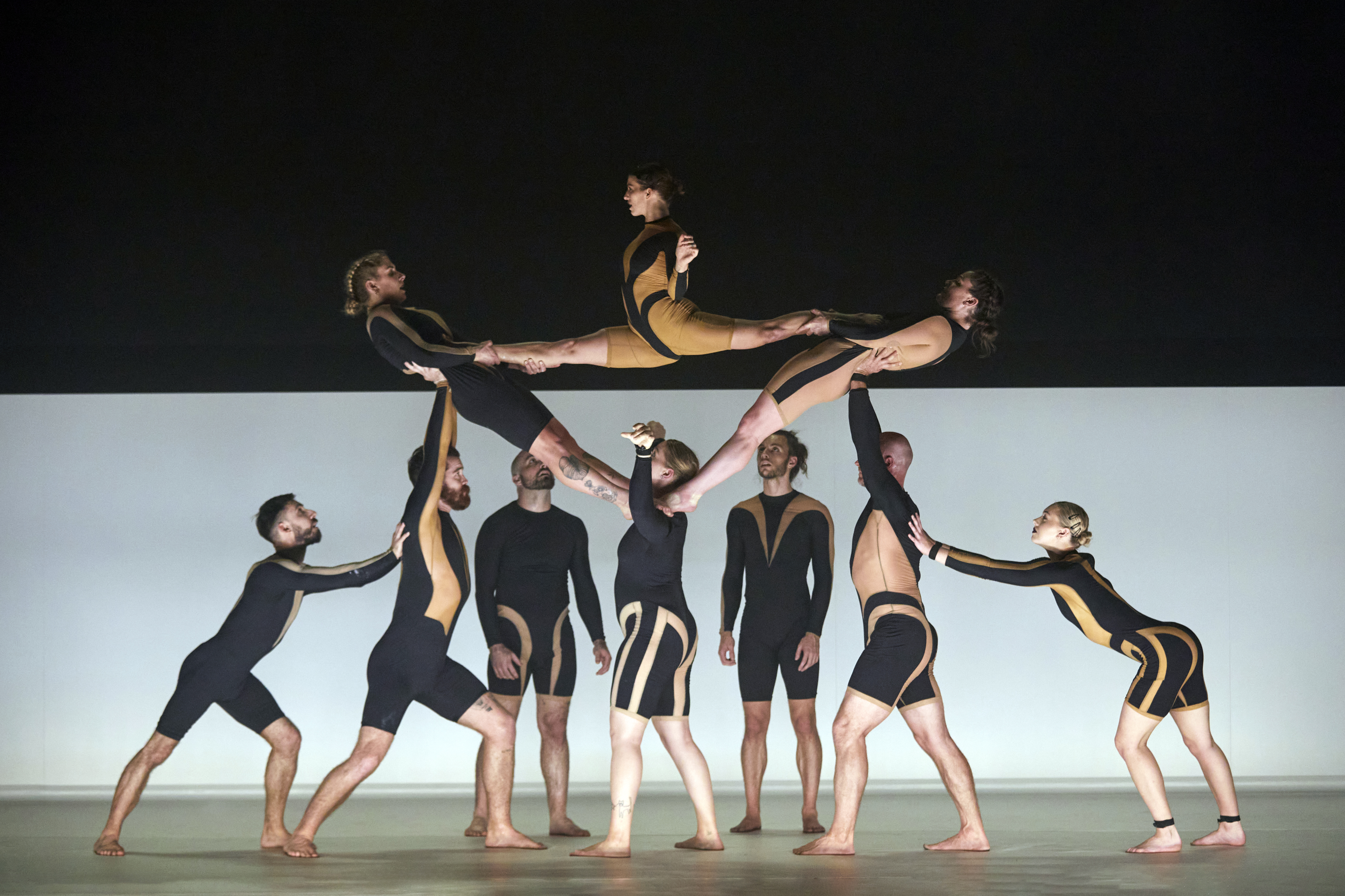 Wolf. A gasp-inducing acrobatic thrill ride.